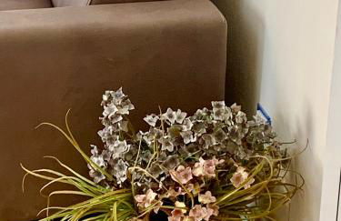 Little House 5 Terre - Photo 7