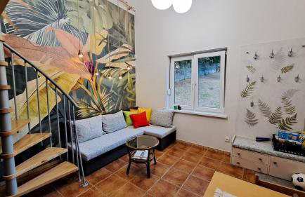 Brzozowy Zakątek - Foto 4