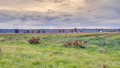 Chic and Modern Snohomish Hideaway on a Working Farm - Foto 3
