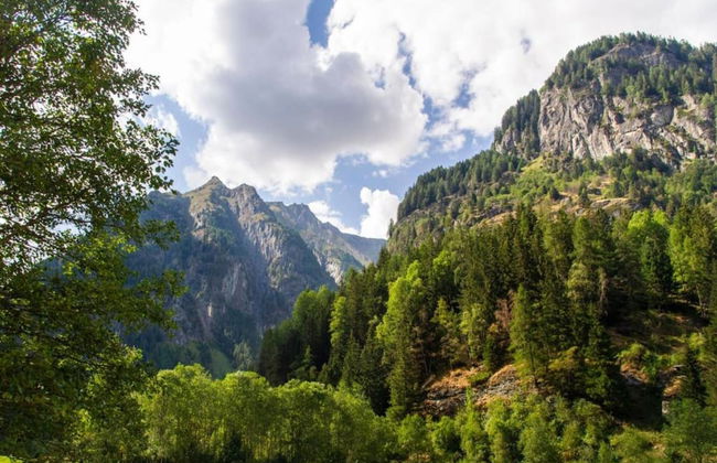 Heavenly Apartment in Wängle Tyrol near Walking Trails - Foto 28