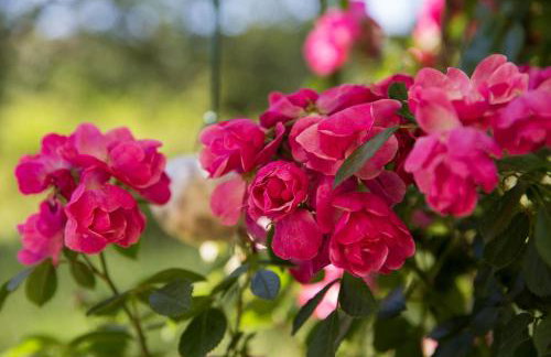 Apartment Green Oase - Foto 66