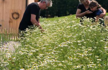 Loft Naturalpina Dolomiti Farm - Foto 18