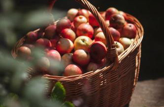 Pasieka - Dom Wypoczynkowy - Foto 44