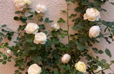 Via Braschi Sessantotto - Foto 26