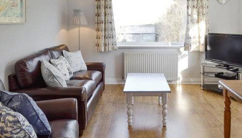 Buzzards - 8235 - Foto 2