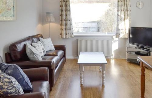 Buzzards - 8235 - Foto 2