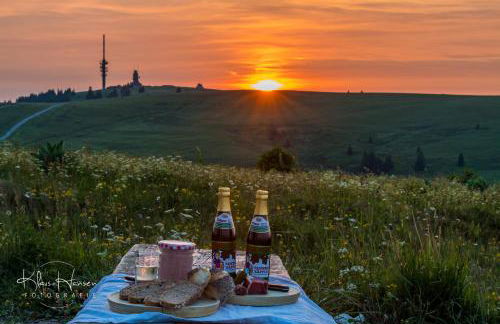 Schwarzwaldhorst Fewo 2 - mit 4 Schlafzimmer - Todtnau, Liftverbund Feldberg - Foto 27
