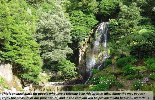 Cantinho da Ilha - Guest House - Photo 139