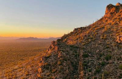 Historic Adobe 3br Home in Downtown El Presidio - Foto 17