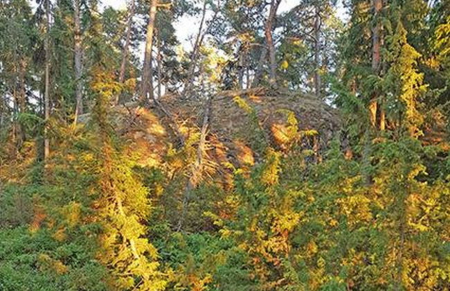 Västantill - Foto 27