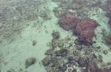 Cala Paradiso - Foto 59