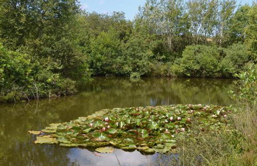 Little Owl Lodge - Foto 16