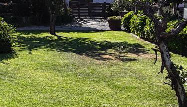 Casa Castedo do Douro - Foto 4, Garden