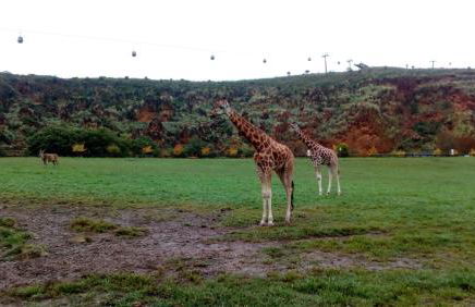 La Casa de Consuelo 3 - Foto 66