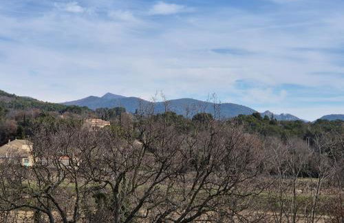Appartement 80m2 entre vignes et Mont Ventoux - Photo 18