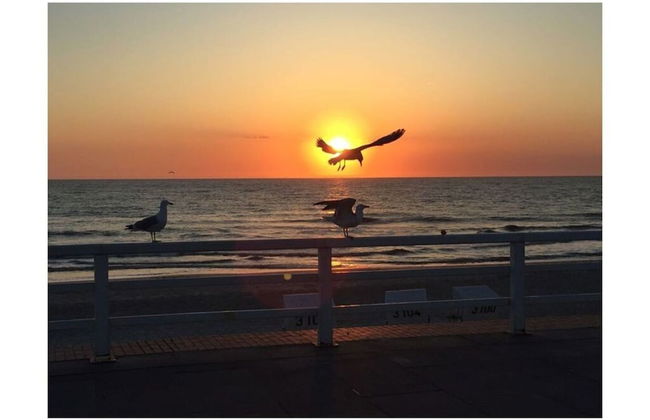 Holiday Home in Renesse - Photo 17