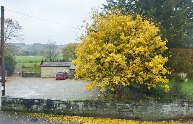 Host Stay Rosella Cottage - Foto 52