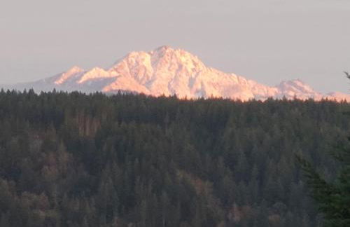 Northwest Stunner - Foto 8