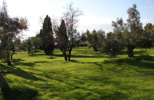 Villa Heleni - Foto 10