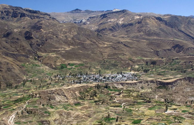 Tour di 2 giorni al Canyon del Colca con arrivo ad Arequipa - Foto 3
