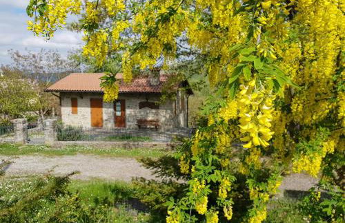 Agriturismo Il Falco del Monte Fumaiolo - Foto 8