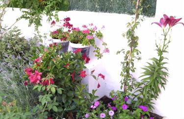 Casa Eufemia - Campo de Criptana - Foto 11