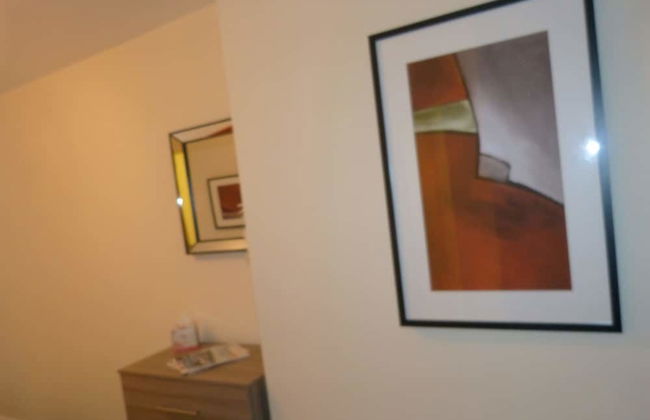 The Sawmills - Foto 28