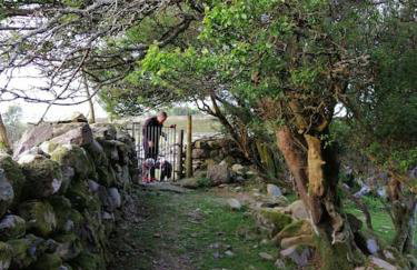 Lovely Stone Village cottage in Snowdonia - Foto 22