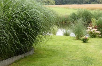 Haus Sarah - Foto 15