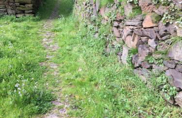 Casa do Volfrâmio - Foto 39