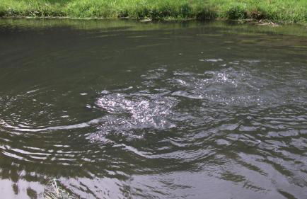 Gottschlich Apartment Schmallenberg - Foto 35