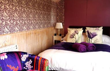 Shepherd's Hut at Cefn Tilla Court - Foto 10