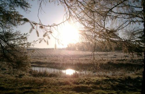 Marcassie Farm Lodges - Oak Studio - Accessible - Foto 15