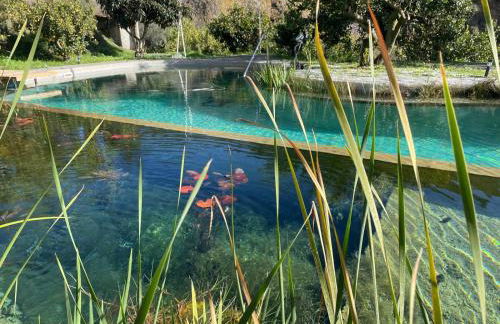 La Calma y La Casita de la Tierra - Foto 43