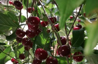 Roberto Apartment - Foto 20