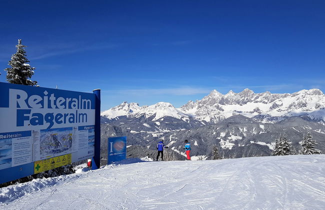 Annis Nest - Foto 19