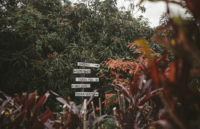 San PEREGRINO - Photo 13