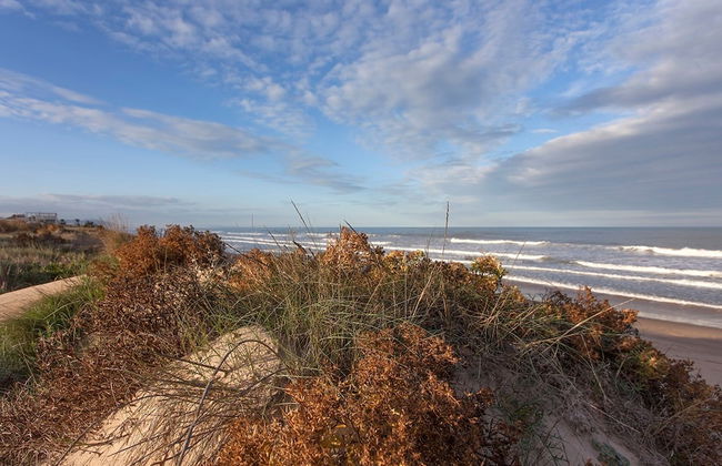 Camelot in Oliva With 1 Bedrooms and 1 Bathrooms - Foto 13