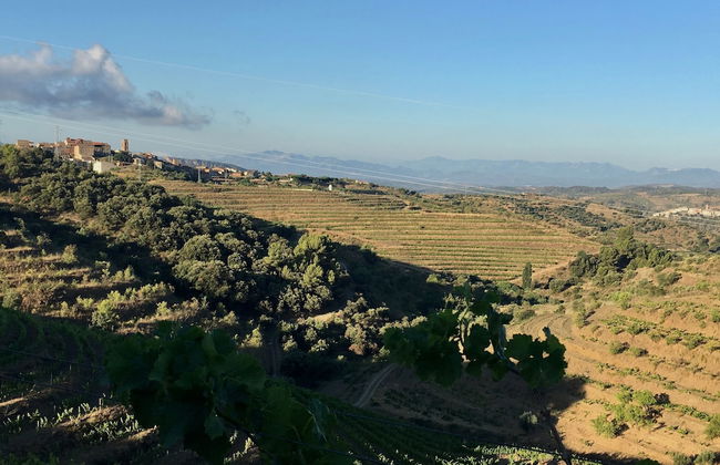 Cal Campana - Adults Only - Photo 51