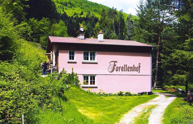 Holiday Accommodation in the Zorn Valley - Foto 17