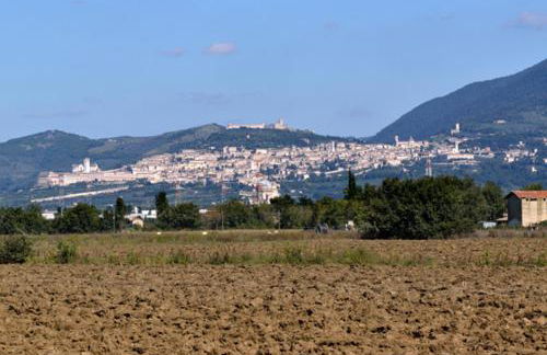 Agriturismo Bellarosa - Photo 44