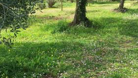 La nostra casetta - Foto 5