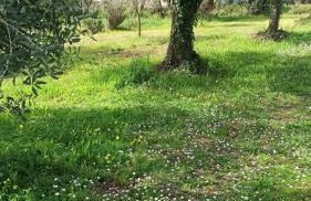 La nostra casetta - Foto 5