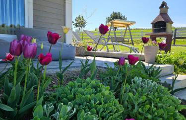 Domek Polna Cisza Bieszczady - Foto 21