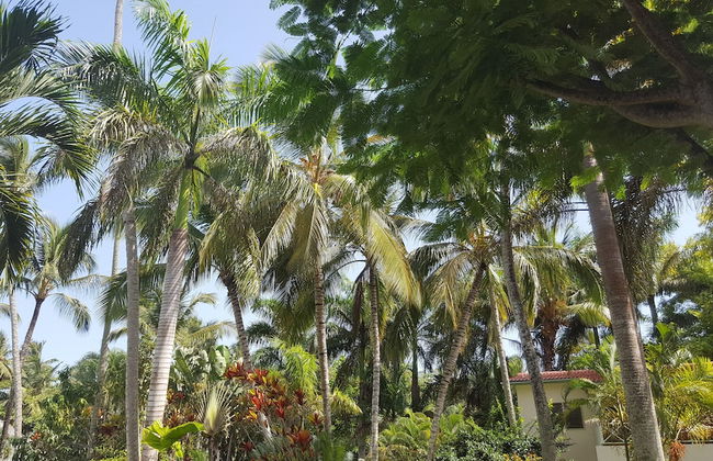 Oasis Hotel Las Terrenas - Foto 44