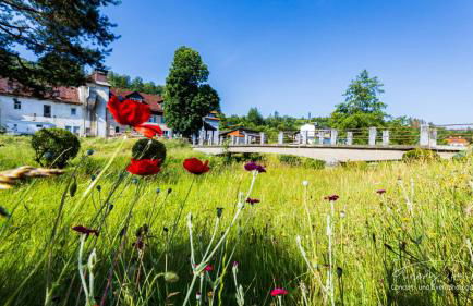 Ferienwohnung an der Wilden Rodach - Foto 23
