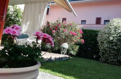 sole mare versilia - Foto 56