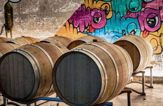 QUINTA DA FAÍSCA - Agro Turismo - Foto 25