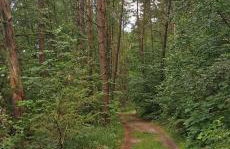 Domki Gorąca Bania - Foto 50