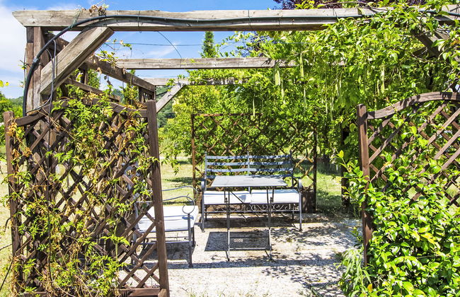 Torregentile - Photo 10